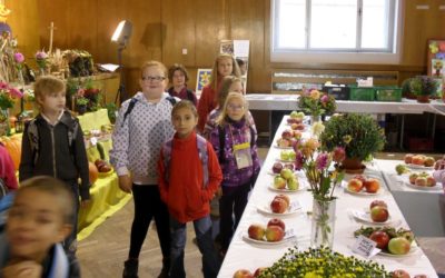 ZŠ -Výstava ovoce a zeleniny