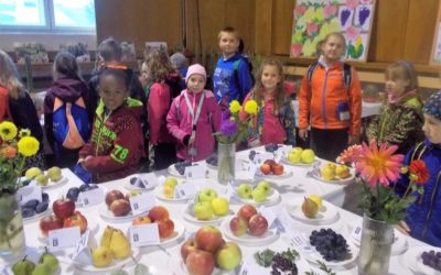 Výstava ovoce a zeleniny 2017
