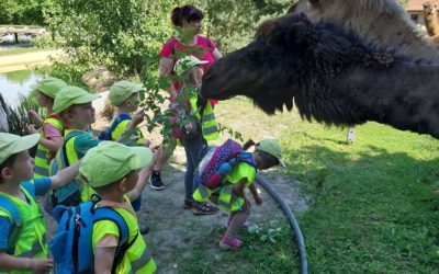 MŠ Berušky – Zoo Vyškov 2023